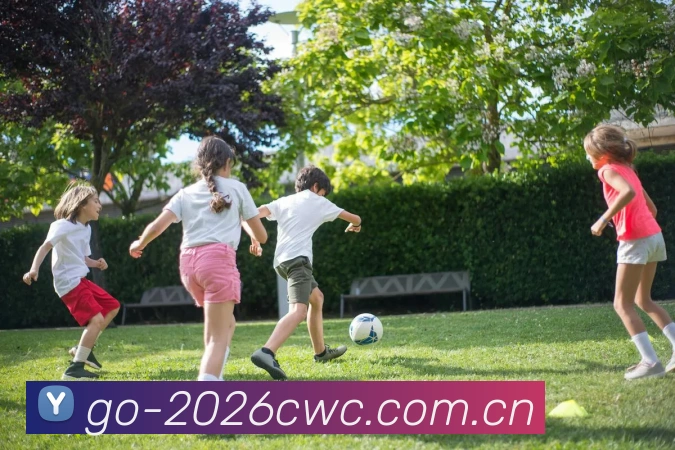 2026世界杯 App 界面