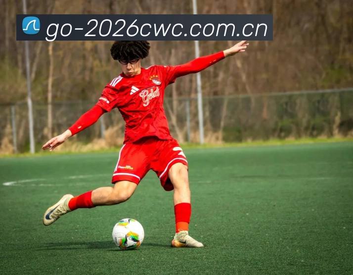 2026世界杯直播界面预览